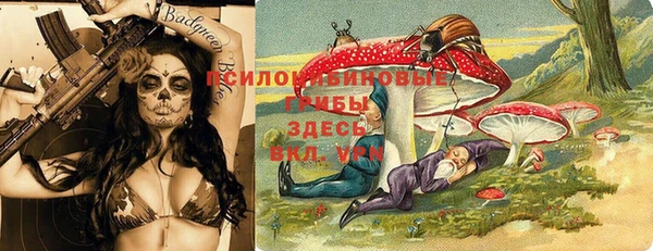 марки lsd Ельня