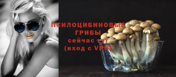 первитин Елабуга
