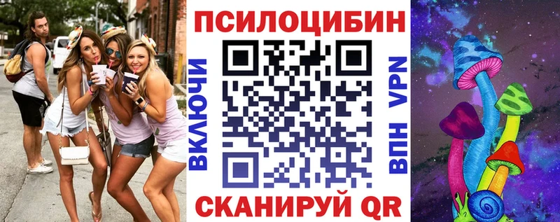 Купить  Чехов  Галлюциногенные грибы Cubensis 